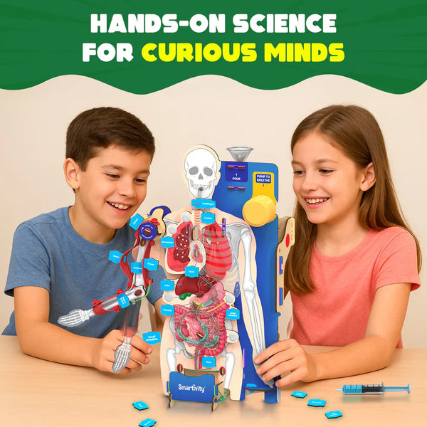 Smartivity Interactive Human Body DIY STEM Activity Kit – Build & Discover How the Body Works