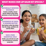 DIY Lip Balm Kit by Kalakaram