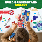 Smartivity Interactive Human Body DIY STEM Activity Kit – Build & Discover How the Body Works