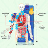 Smartivity Interactive Human Body DIY STEM Activity Kit – Build & Discover How the Body Works