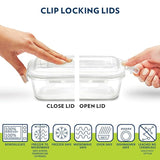 Borosil Microwavable Universal Glass Lunch Box Set of 4 with Lunch Bag