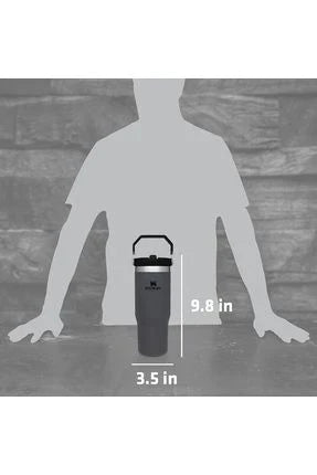 Stanley IceFlow Flip Straw Tumbler 30oz