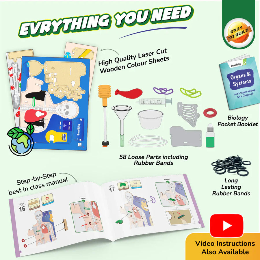 Smartivity Interactive Human Body DIY STEM Activity Kit – Build & Discover How the Body Works