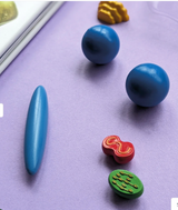 Wonders of Learning – Discover Biology Educational Box Set