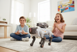 Two kids playing with RC Robot Dog and remote